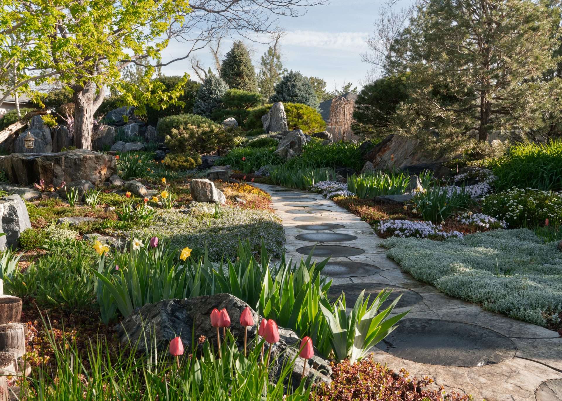 Flourish fine gardening pathway garden with tulips in foreground