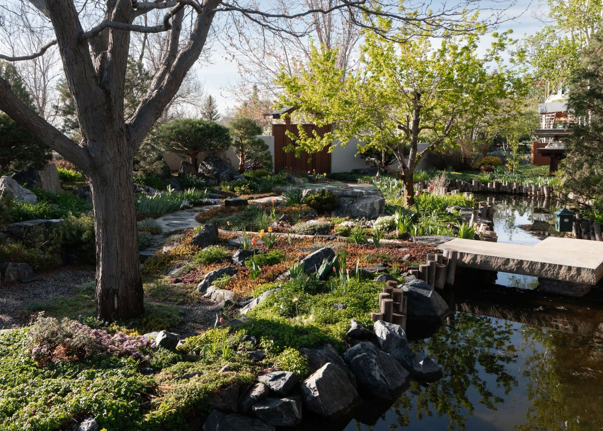 Flourish fine gardening pond, pathway and gate