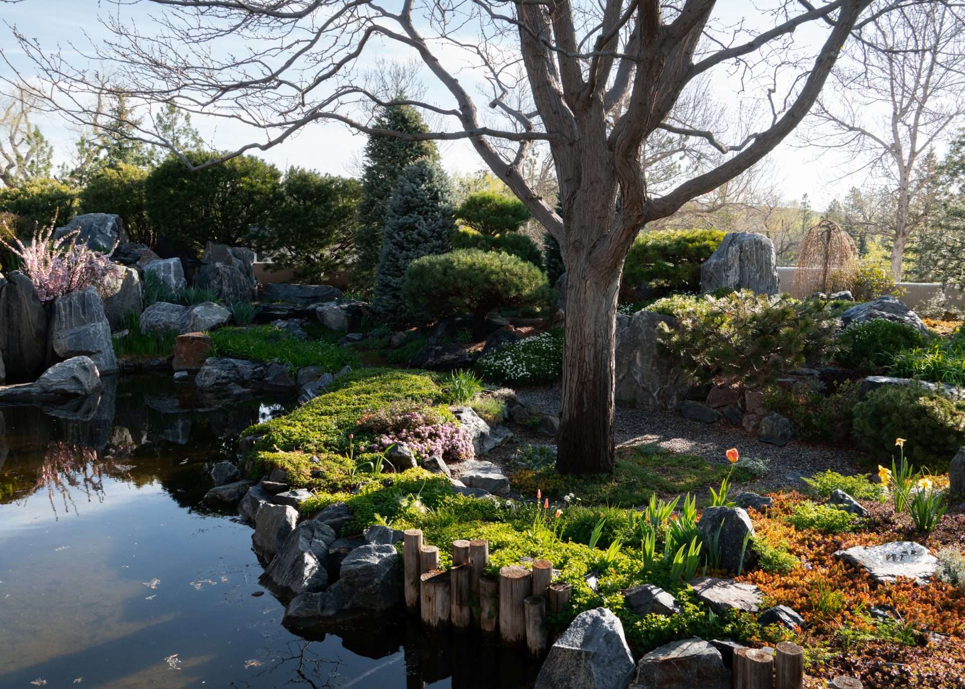 Flourish fine gardening pond and rockscape