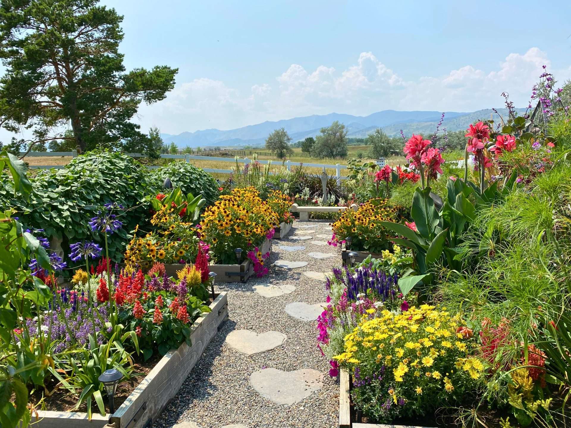 Flourish fine gardening garden scape with hear shaped stone walkway
